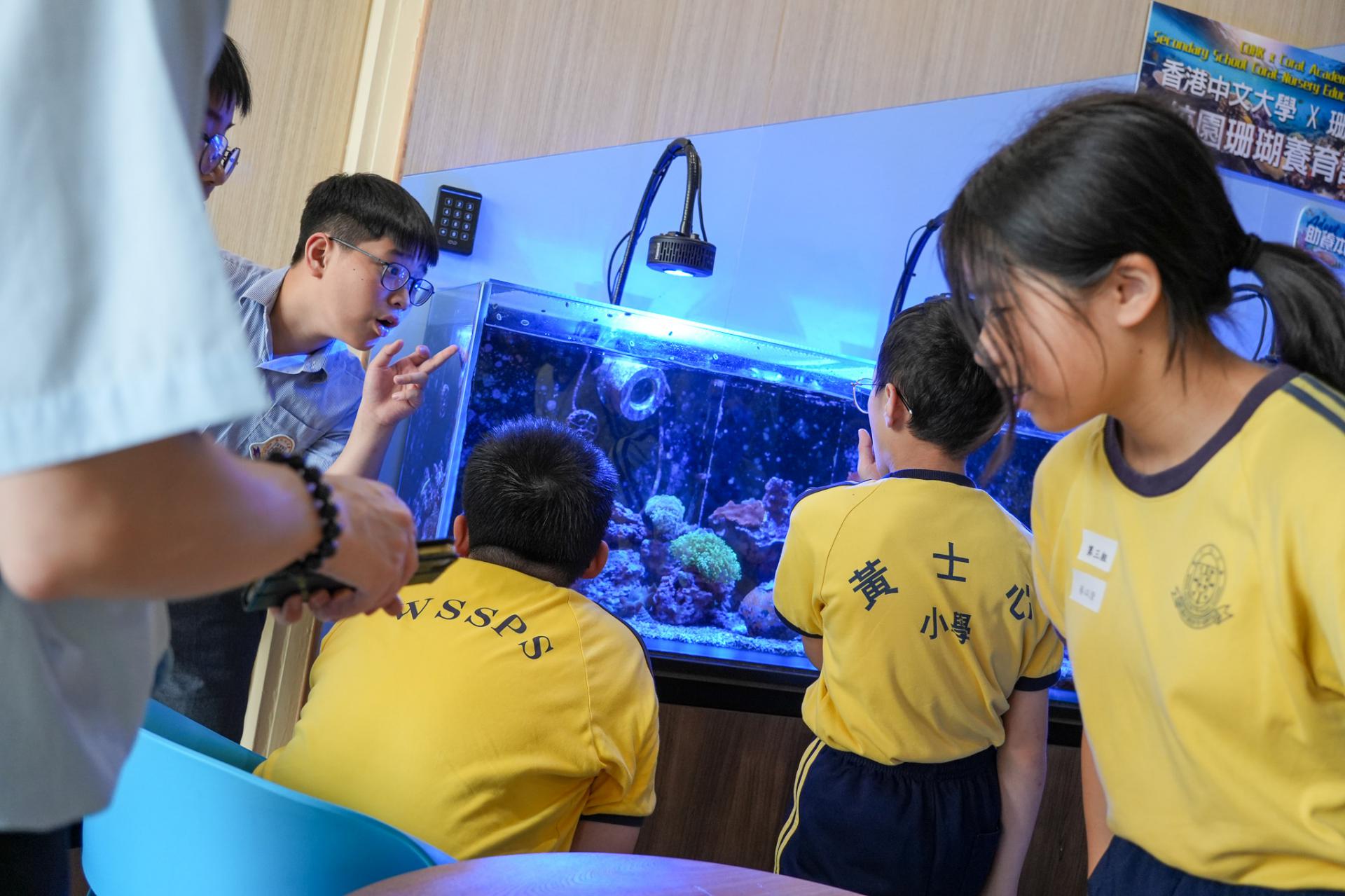 東華三院黃士心小學到校參觀20 東華三院黃士心小學到校參觀-20