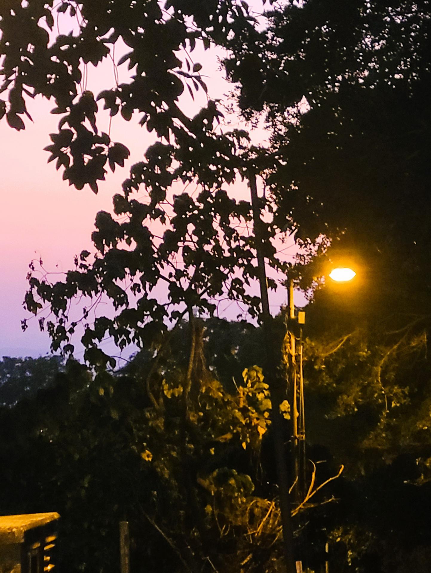 Geography Society “Night Adventure Activity”5 Geography Society “Night Adventure Activity”-5