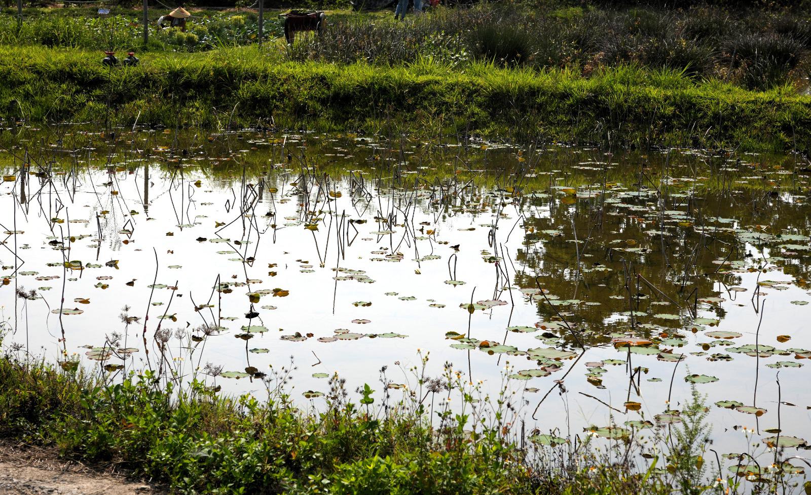 PTA Picnic83 PTA Picnic-83