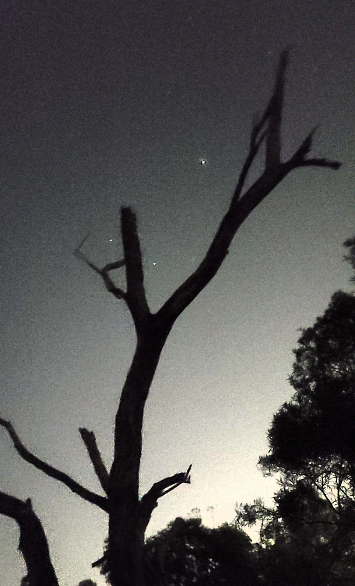 Geography Society “Night Adventure Activity”9 Geography Society “Night Adventure Activity”-9