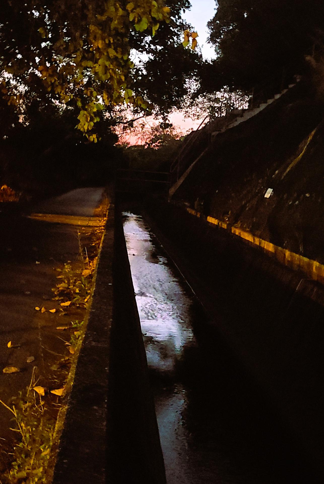 Geography Society “Night Adventure Activity”3 Geography Society “Night Adventure Activity”-3