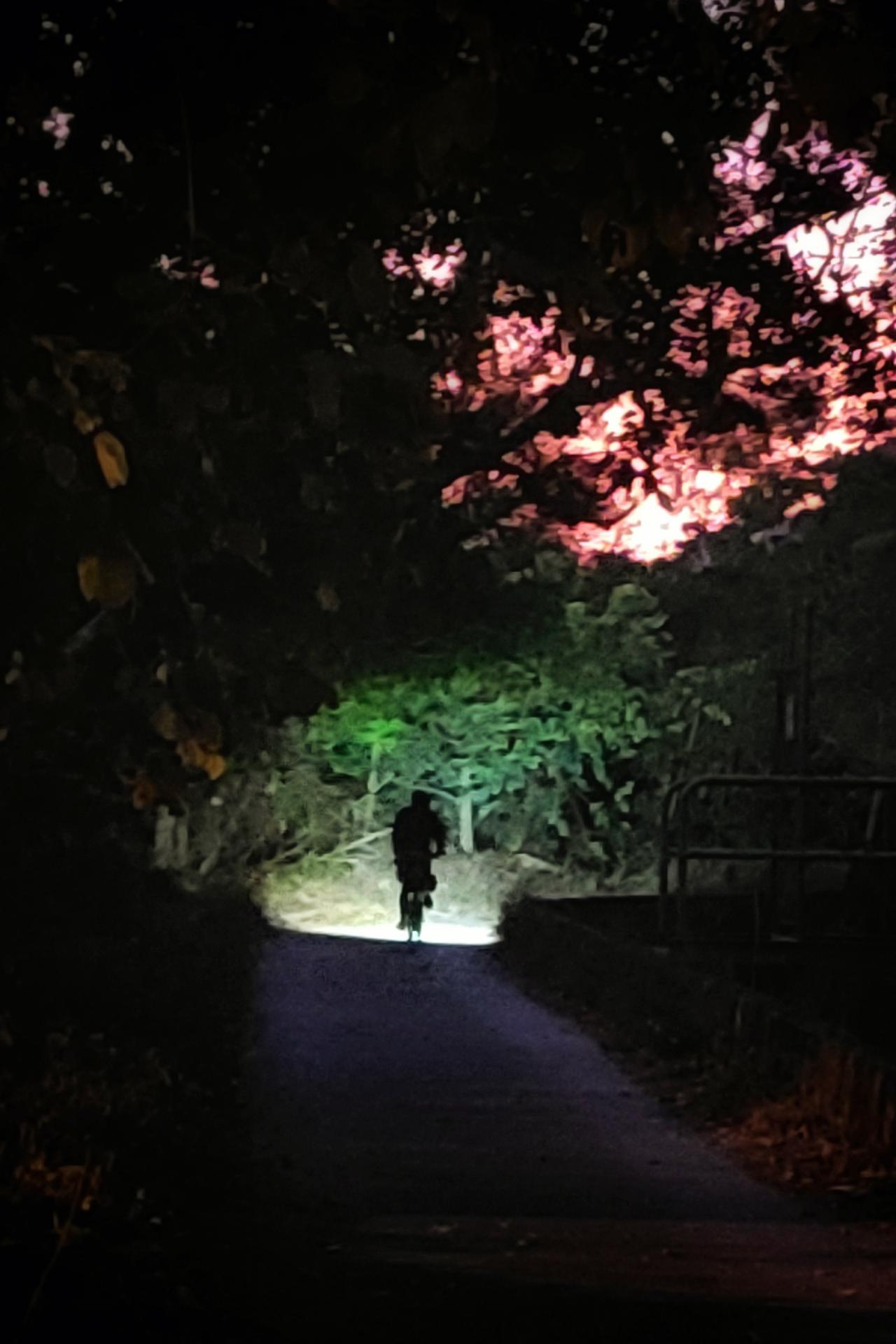 Geography Society “Night Adventure Activity”0 Geography Society “Night Adventure Activity”-0