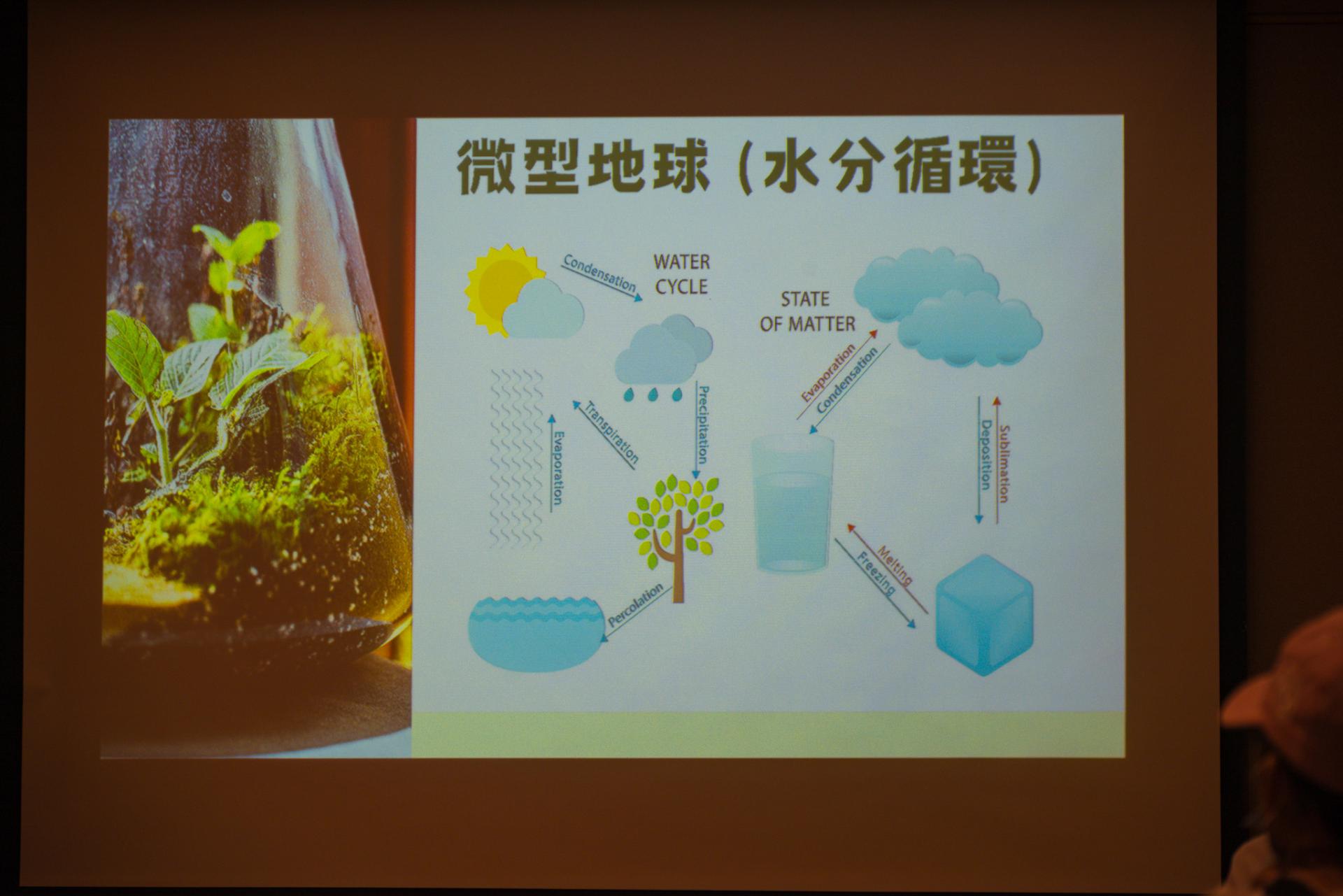 The Parent-Teacher Association of our school, in collaboration with the PTA of Shek Lei St. John's Catholic Primary School, organized a 'Micro-Ecosystem Glass Terrarium Workshop' at Noah's Ark, Ma Wan, and a visit to the '1868 Cultural and Arts District.'14 The Parent-Teacher Association of our school, in collaboration with the PTA of Shek Lei St. John's Catholic Primary School, organized a 'Micro-Ecosystem Glass Terrarium Workshop' at Noah's Ark, Ma Wan, and a visit to the '1868 Cultural and Arts District.'-14