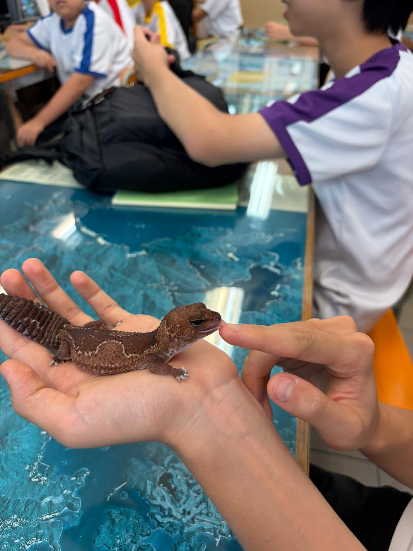 Geography Club: Mini ZOO Interactive Animal Workshop18 Geography Club: Mini ZOO Interactive Animal Workshop-18