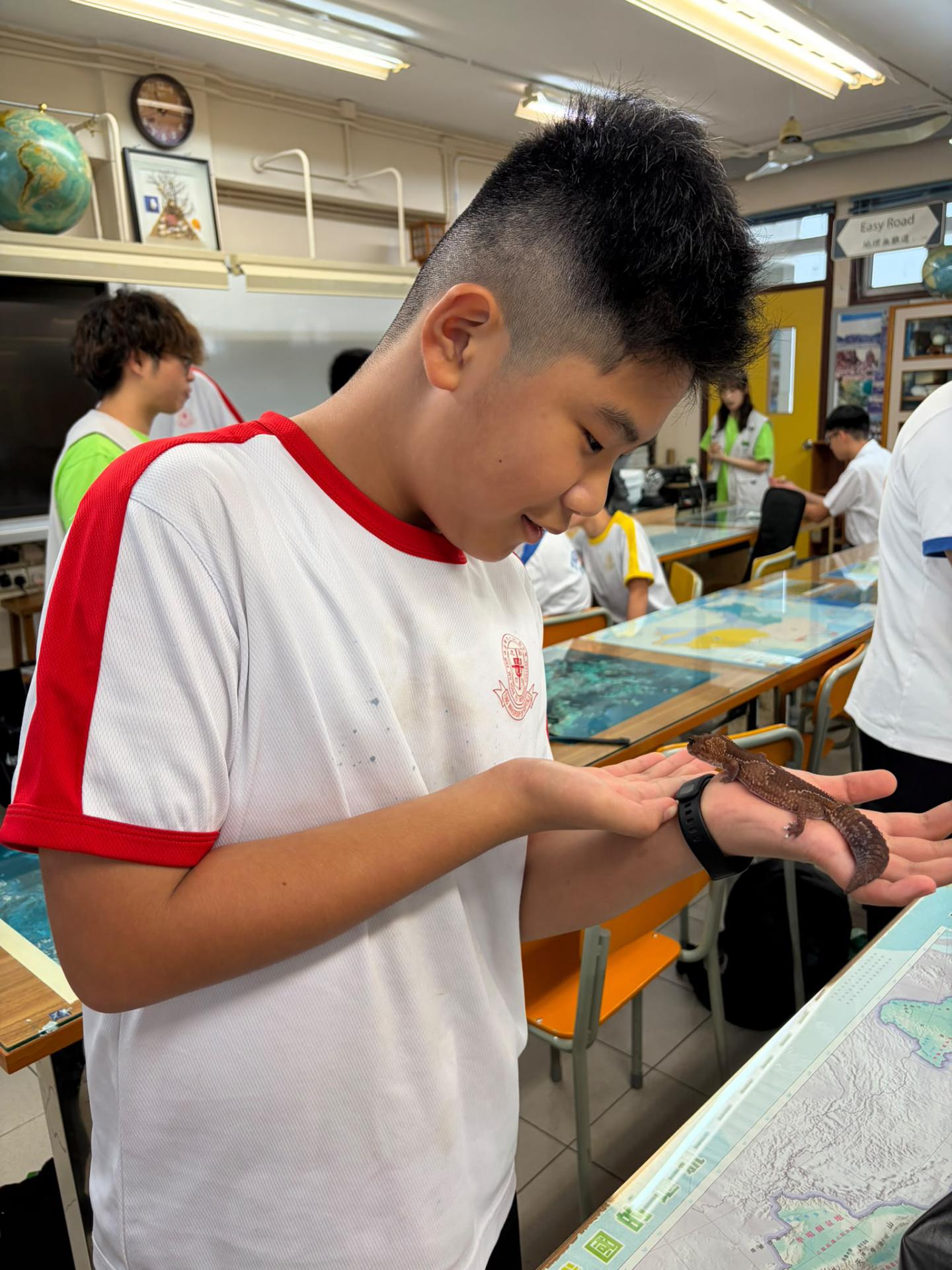 Geography Club: Mini ZOO Interactive Animal Workshop3 Geography Club: Mini ZOO Interactive Animal Workshop-3