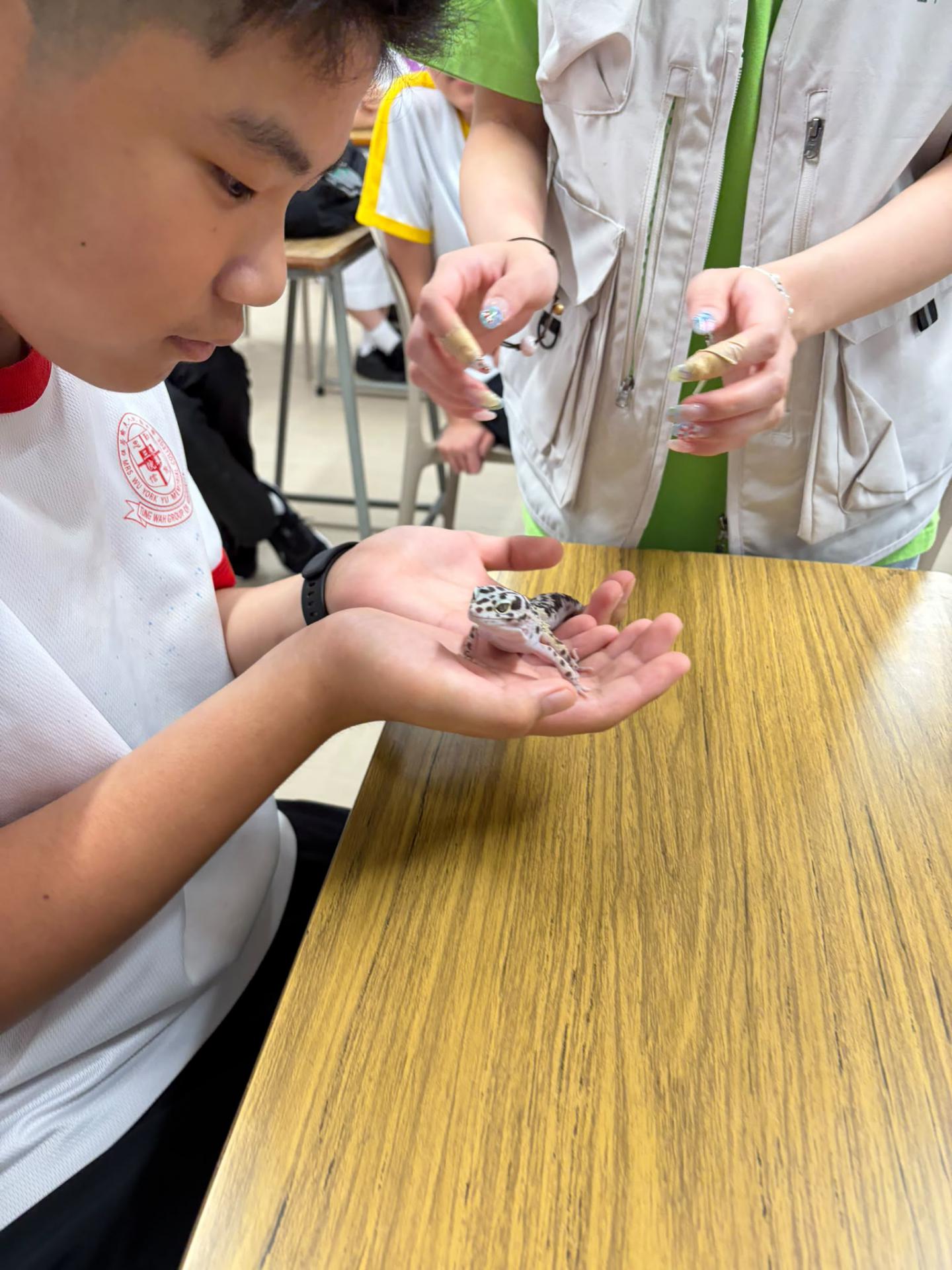 Geography Club: Mini ZOO Interactive Animal Workshop26 Geography Club: Mini ZOO Interactive Animal Workshop-26