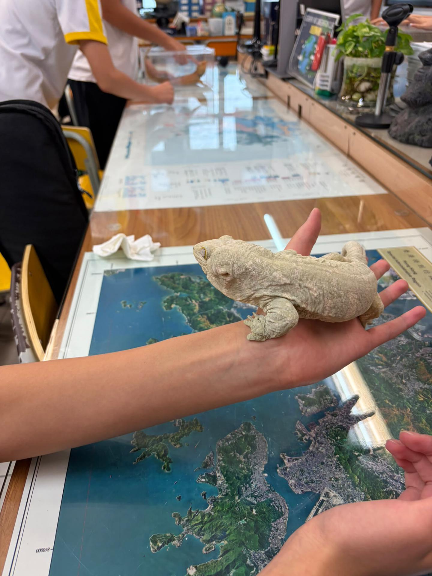 Geography Club: Mini ZOO Interactive Animal Workshop15 Geography Club: Mini ZOO Interactive Animal Workshop-15