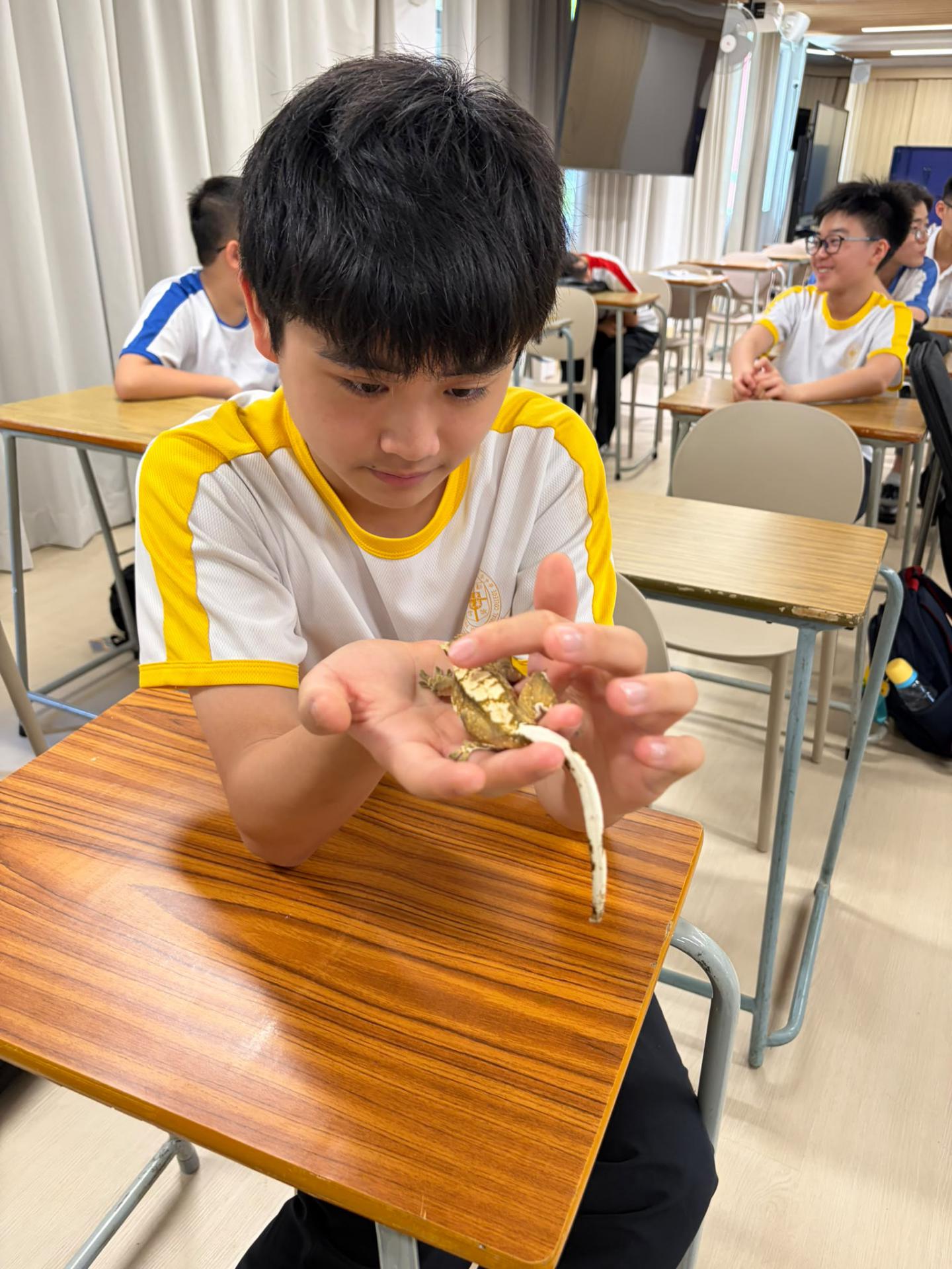 Geography Club: Mini ZOO Interactive Animal Workshop25 Geography Club: Mini ZOO Interactive Animal Workshop-25